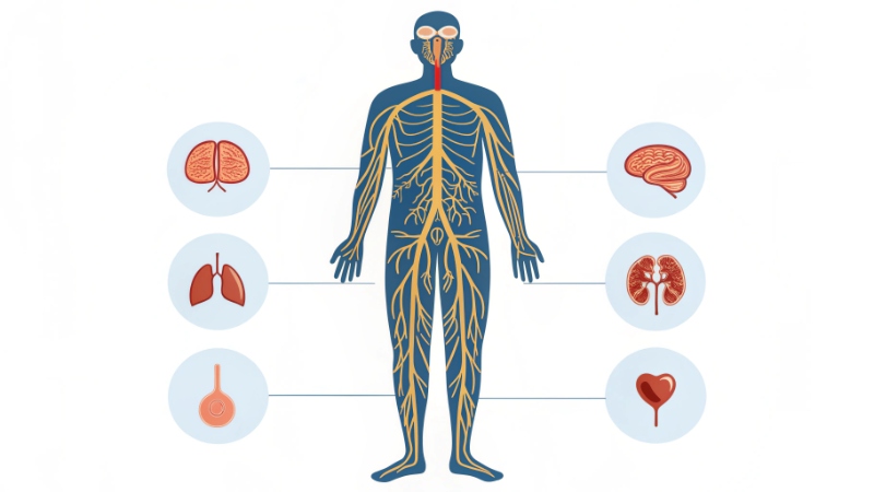 المضاعفات الصامتة لمرض السكري