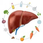 دهون الكبد ومخاطرها المبكرة وتأثير نمط الحياة على صحة الكبد