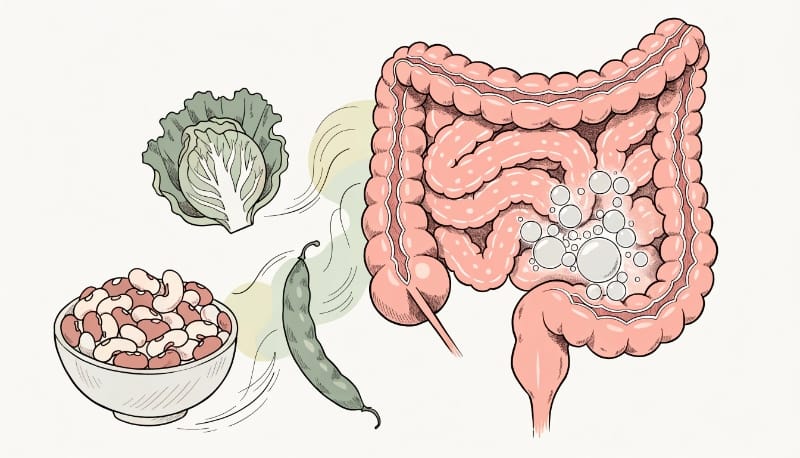 أطعمة تسبب الغازات وانتفاخ البطن
