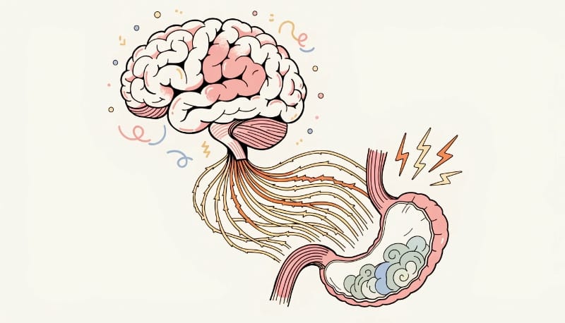 تأثير التوتر على الجهاز الهضمي