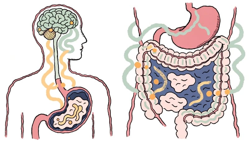 تأثير التوتر على انتفاخ البطن